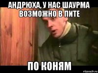 андрюха, у нас шаурма возможно в пите по коням