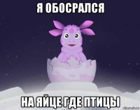 я обосрался на яйце где птицы