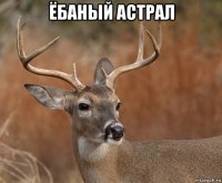 ёбаный астрал 