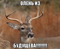 олень из будущева!!!!!!!!