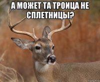 а может та троица не сплетницы? 