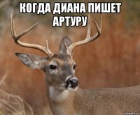 когда диана пишет артуру 