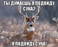 ты думаешь я подойду сука? я подойду сука!