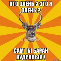 кто олень ? это я олень ? сам ты баран кудрявый !