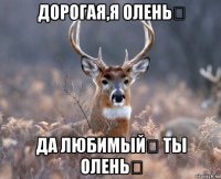 дорогая,я олень？ да любимый！ ты олень！