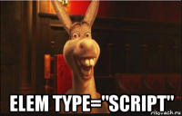  elem type="script"