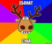 ебонат сука