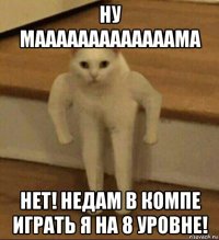 ну мааааааааааааама нет! недам в компе играть я на 8 уровне!