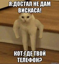 я:достал не дам вискаса! кот:где твой телефон?