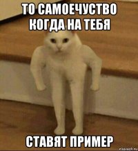 то самоечуство когда на тебя ставят пример