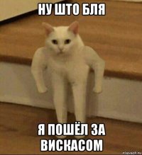 ну што бля я пошёл за вискасом