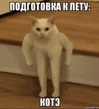 подготовка к лету: котэ