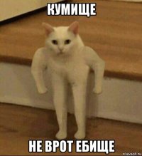 кумище не врот ебище