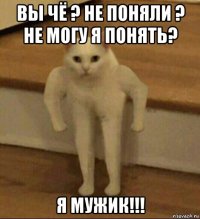 вы чё ? не поняли ? не могу я понять? я мужик!!!