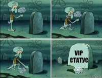 VIP статус