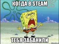 когда в steam тебя забанили