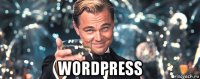  wordpress