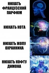 Нюхать французский парфюм Нюхать кота Нюхать жопу охранника Нюхать кофту Димона