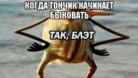 когда тончик начинает быковать 