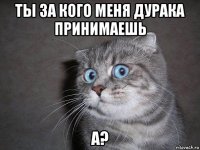 ты за кого меня дурака принимаешь а?