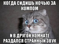 когда сидишь ночью за компом и в другой комнате раздался странный звук