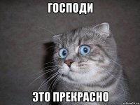 господи это прекрасно