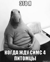 это я когда жду симс 4 питомцы