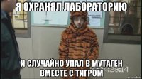 я охранял лабораторию и случайно упал в мутаген вместе с тигром