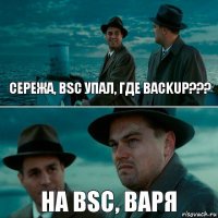 СЕРЕЖА, BSC УПАЛ, ГДЕ BACKUP??? НА BSC, ВАРЯ