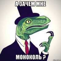 а зачем мне моноколь ?