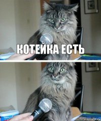 котейка есть 