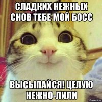 сладких нежных снов тебе мой босс высыпайся! целую нежно-лили