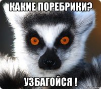 какие поребрики? узбагойся !