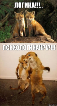 ЛОГИКА!!!„ ПСИХОЛОГИКА!!?!?!!!