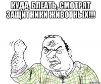 куда, блеать, смотрят защитники животных!!! 