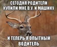 сегодня родители купили мне в.у. и машину и теперь я опытный водитель