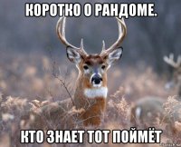 коротко о рандоме. кто знает тот поймёт