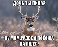 дочь ты пила? ну мам,разве я похожа на пилу?