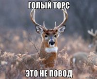 голый торс это не повод