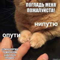 Погладь меня пожалуйста! Если не опутиш то мне нечем будет тебя гладить!