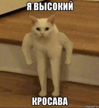 я высокий кросава