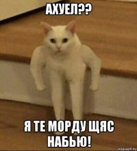 ахуел?? я те морду щяс набью!