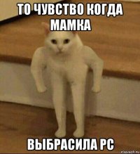 то чувство когда мамка выбрасила pc