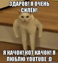 здаров! я очень силён! я качок! кот качок! я люблю youtube :d