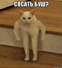 сосать буш? 