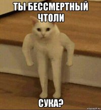 ты бессмертный чтоли сука?