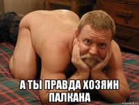  а ты правда хозяин палкана