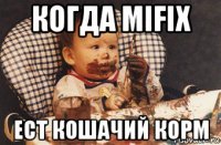 когда mifix ест кошачий корм