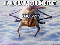 ну кариа где твой ответ 