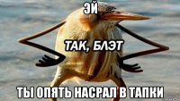 эй ты опять насрал в тапки